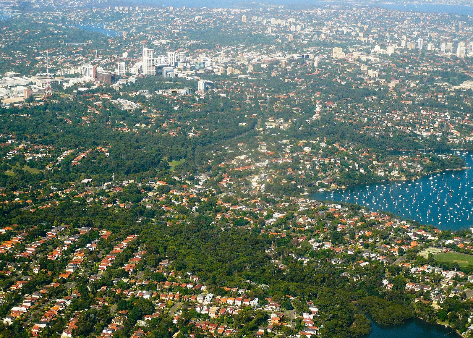 Aerial view of suburban houses on Sydney's lower north shore