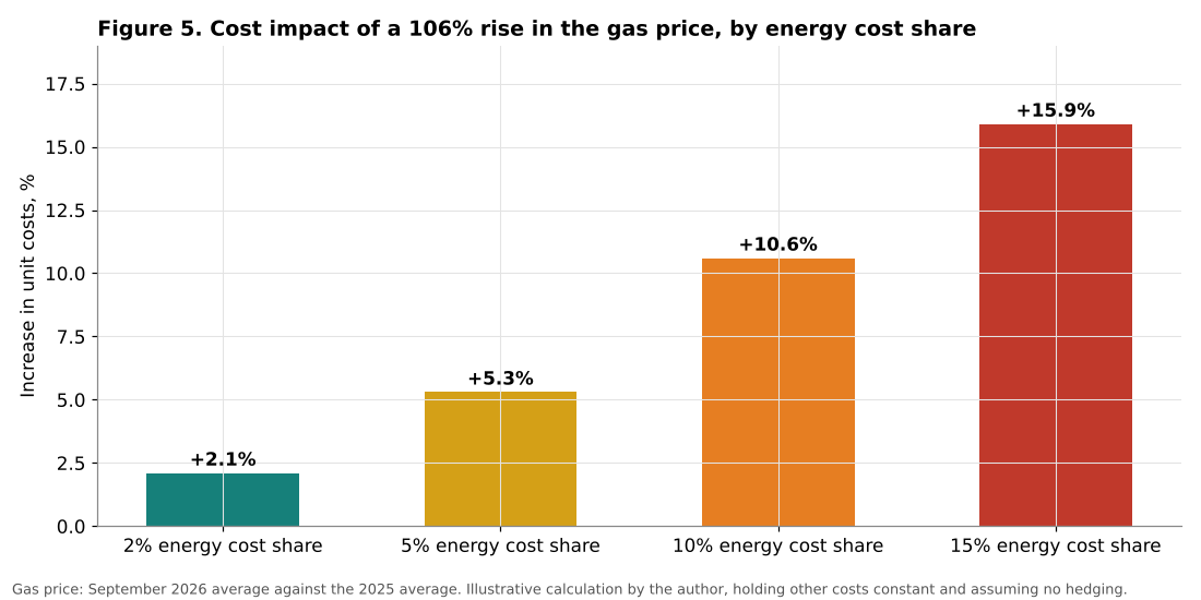 Cost impact of the gas price rise by energy cost share