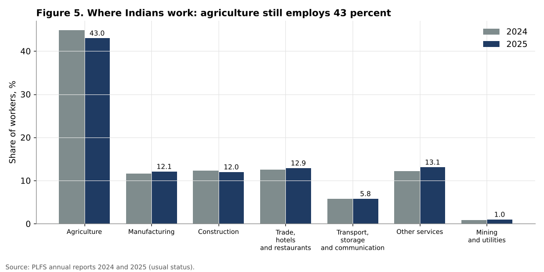 India employment by sector 2024 and 2025